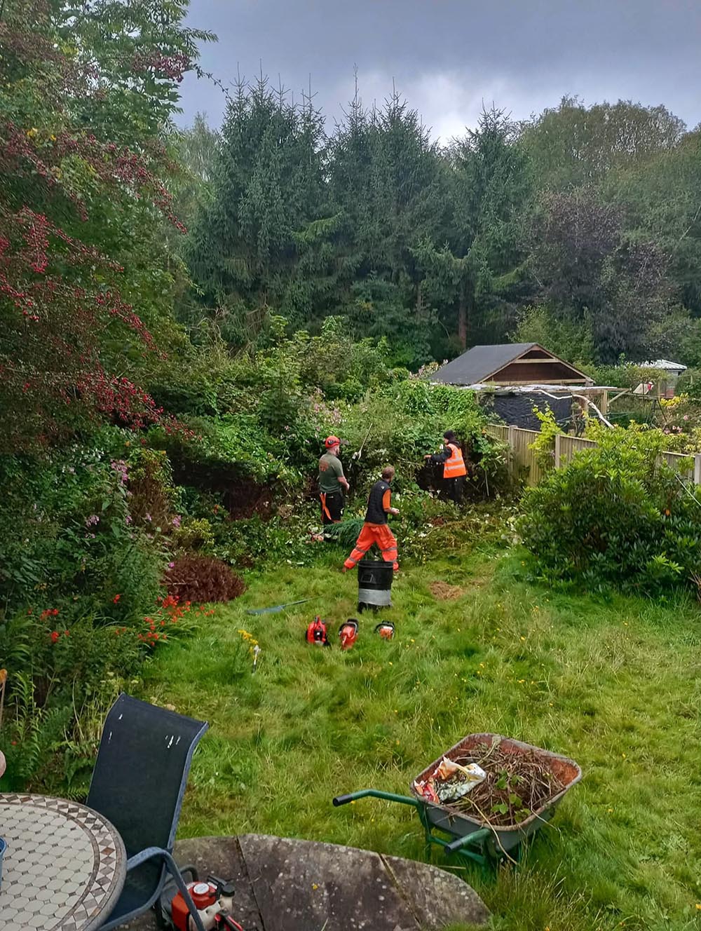 Tree and hedge removal in Wirral