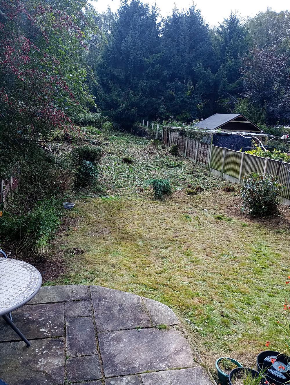 Grass area after tree removal in Wirral