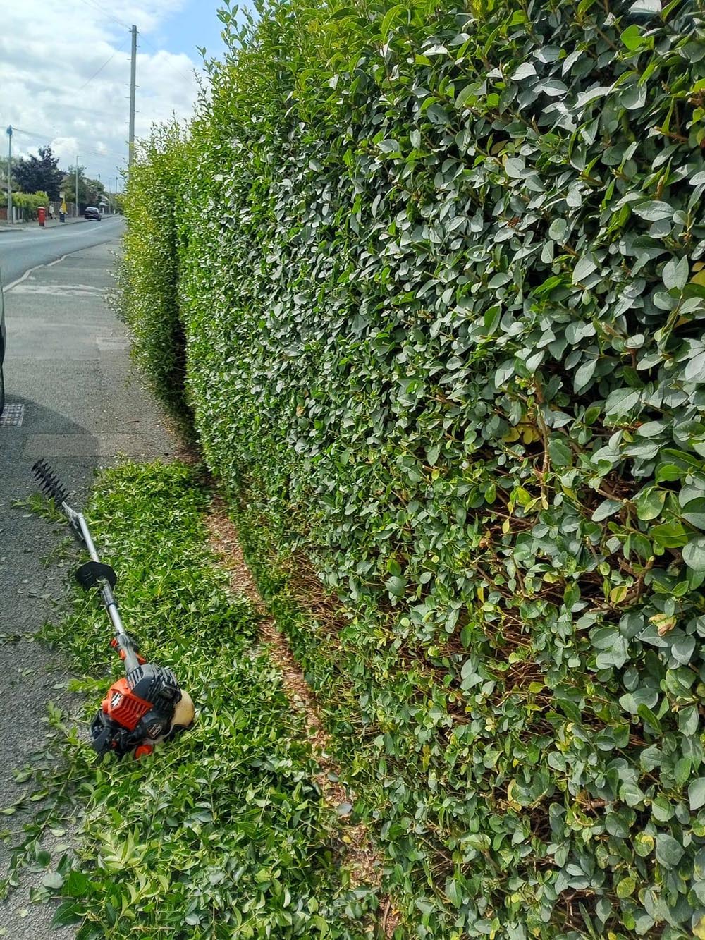 Hedge trimming in Wirral