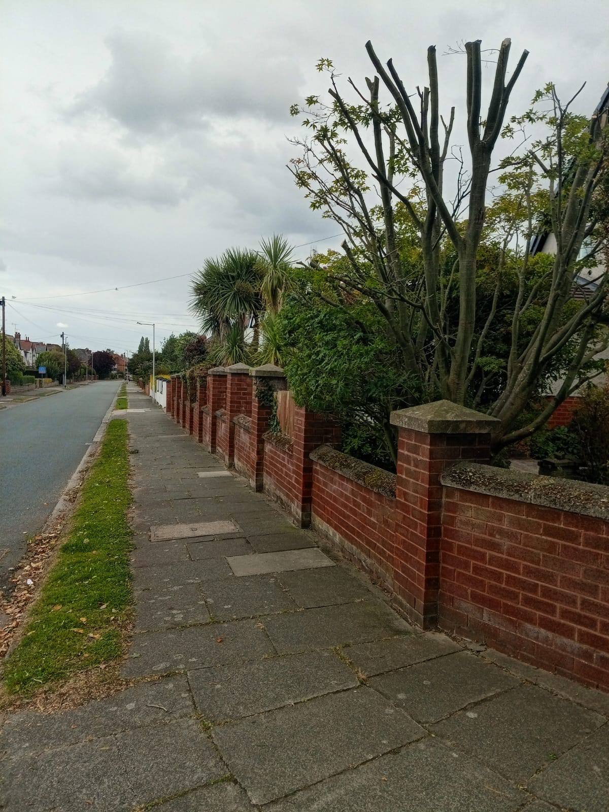 Tree pruning in Birkenhead