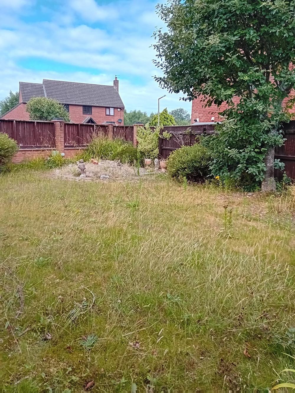 Overgrown grass in a garden in Wirral
