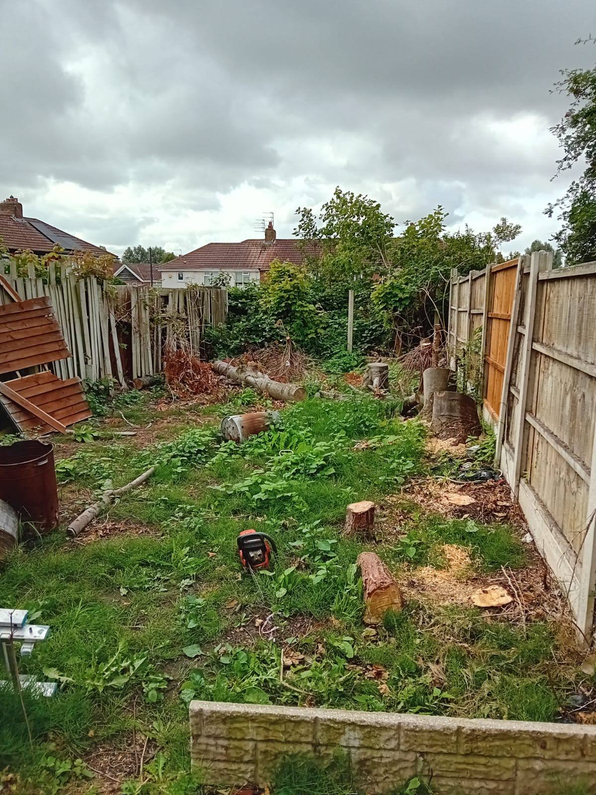 Overgrown garden with tree stumps and branches in Wirral
