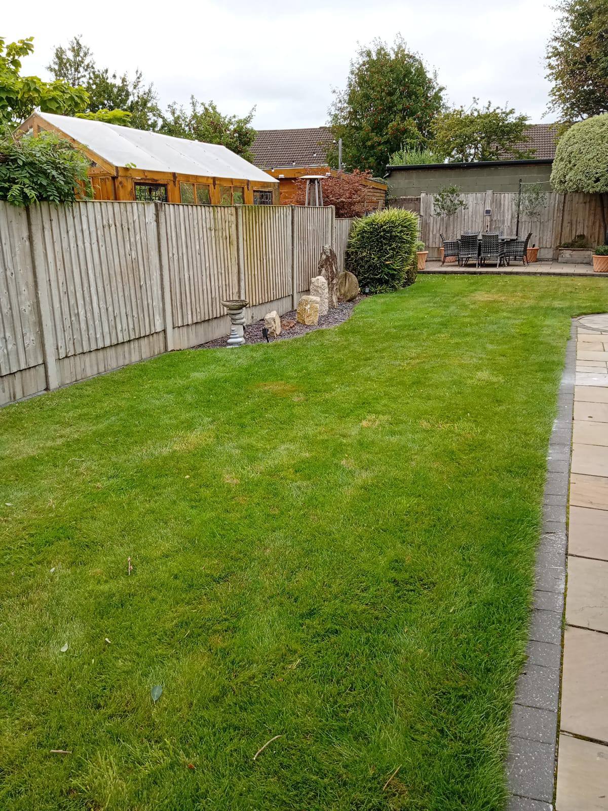 Garden cleared of trees in Wirral