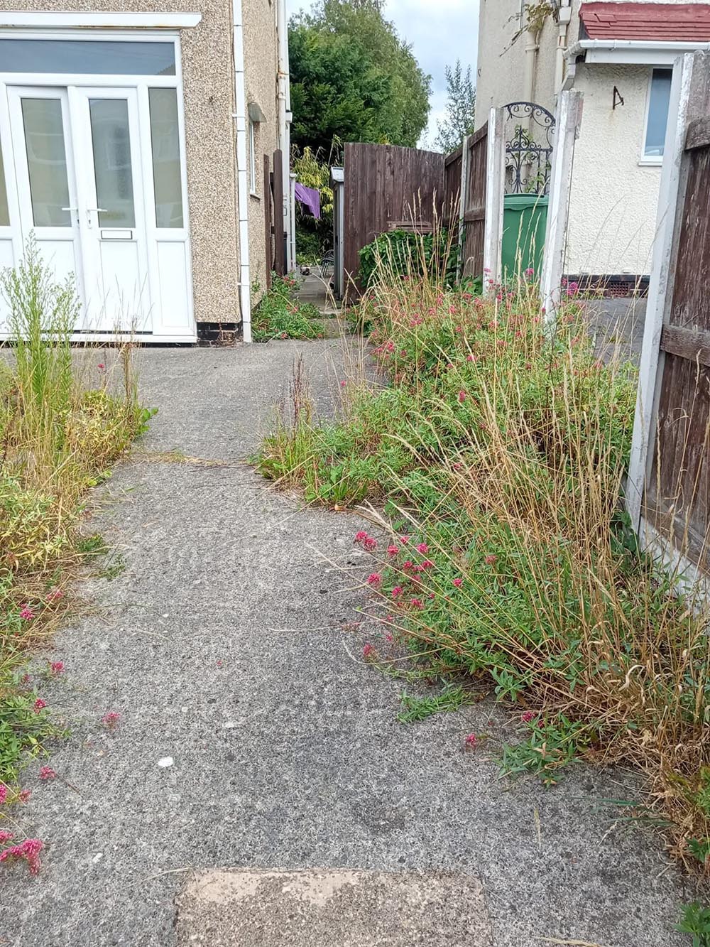 Overgrown weeds on a driveway in Wirral