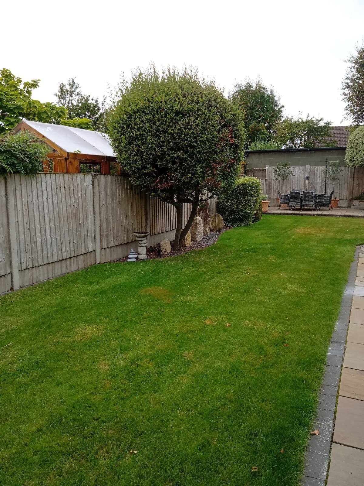 Tree removal in Birkenhead