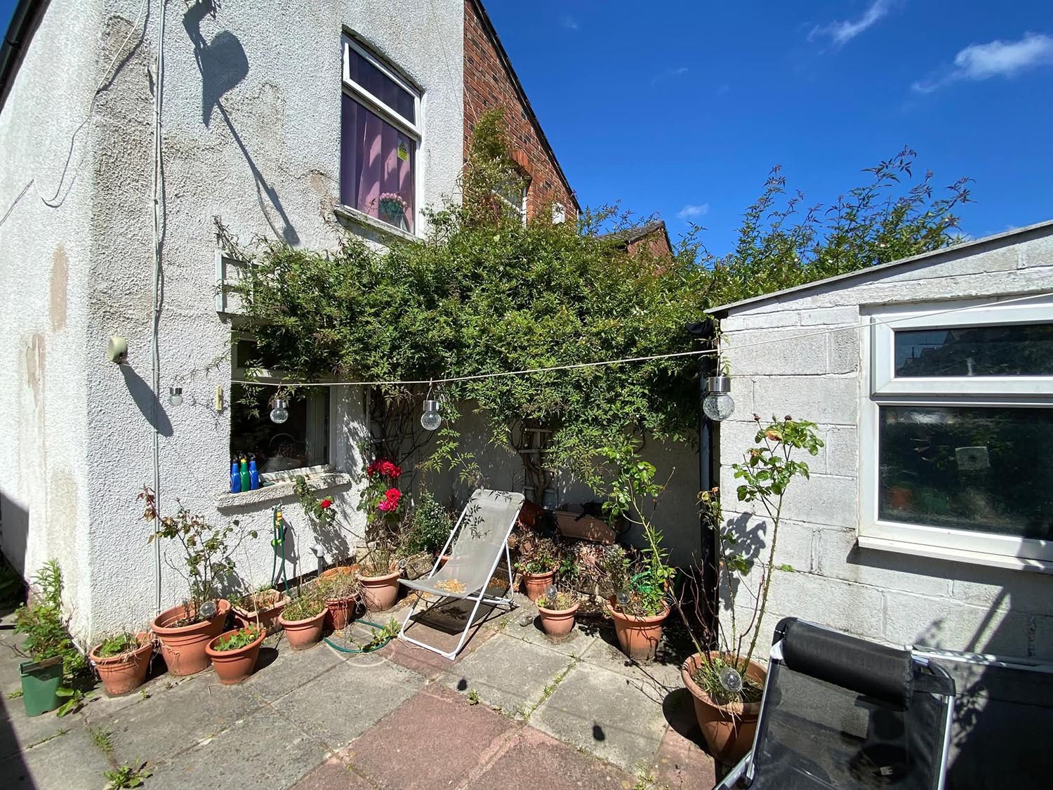 Over grown tree at a house in Wirral