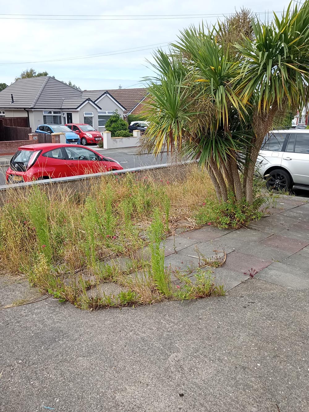 Garden before being weeded in Wirral