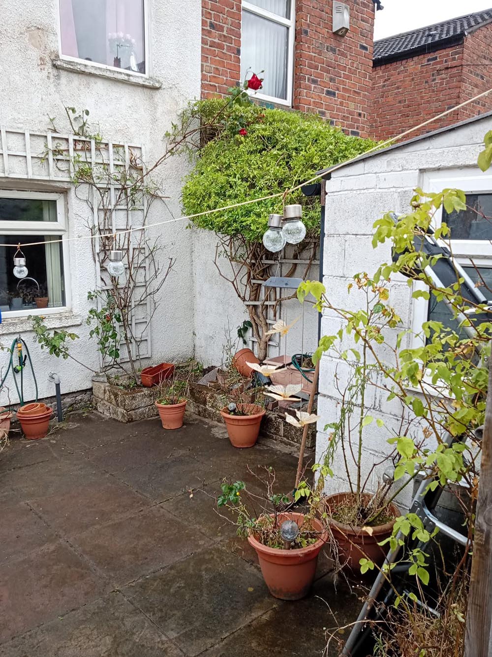 removal of overgrown tree branches from a house in Wirral