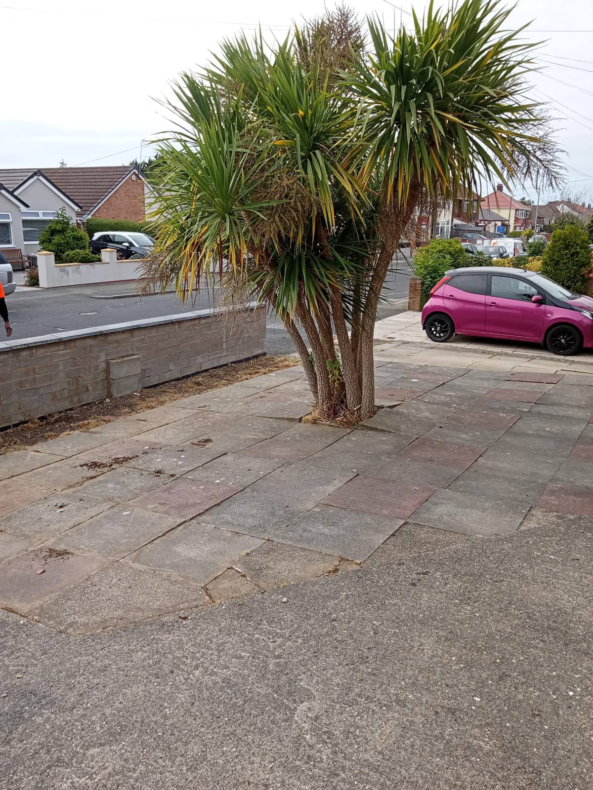 Patio after being weeded