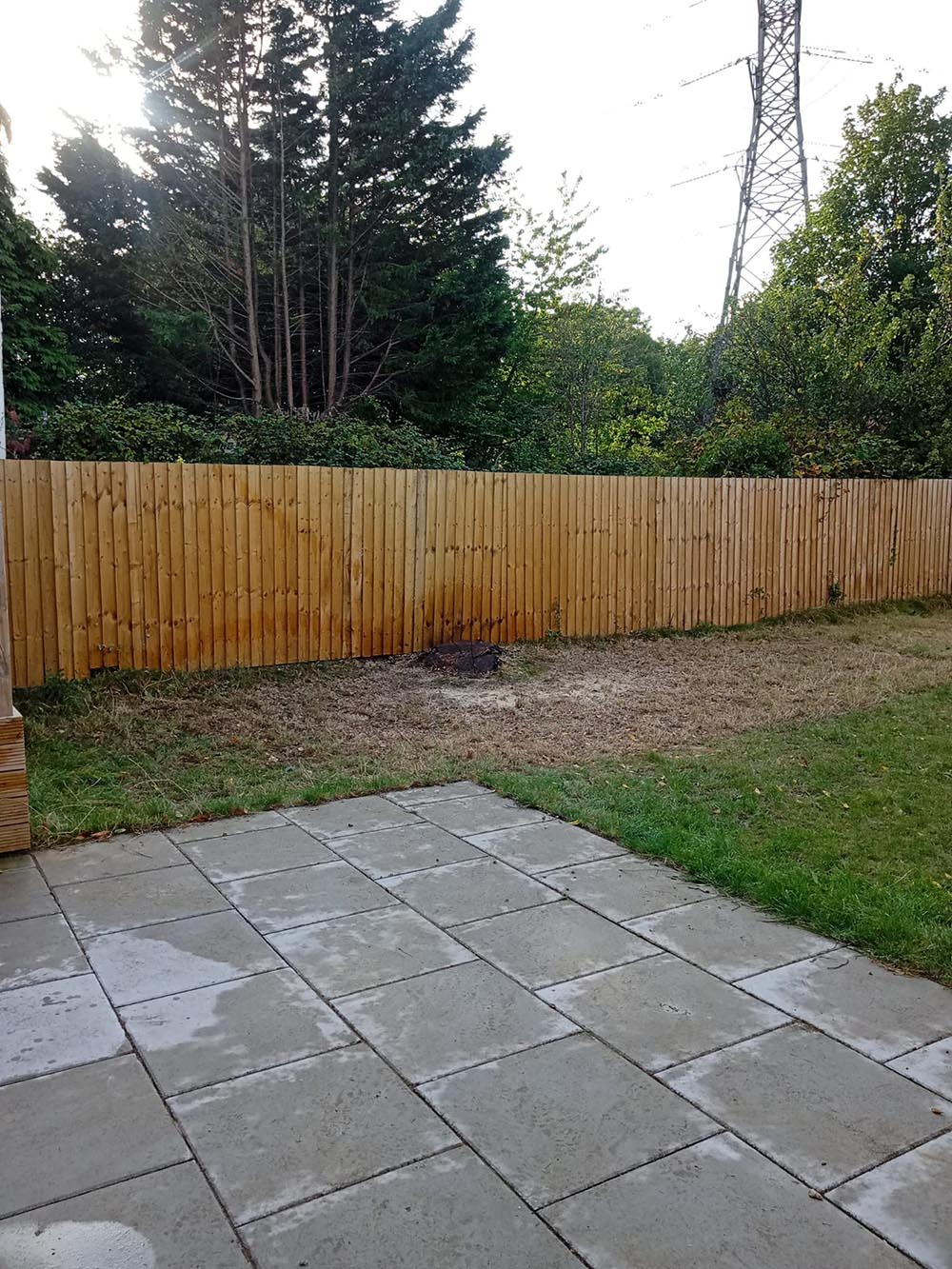 Removing a tree in a garden in Wirral